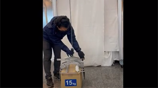 動画のサムネイル01